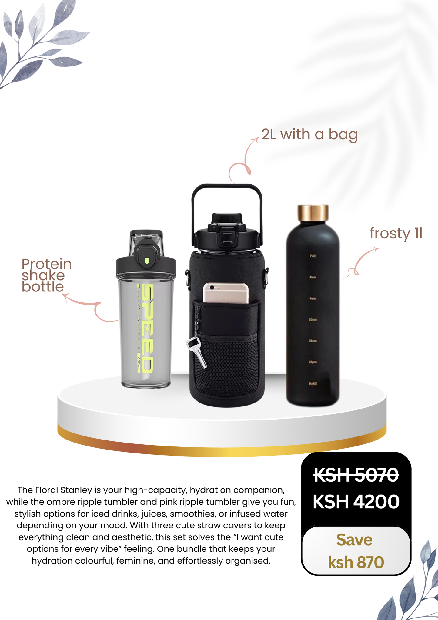 Protein Shake Bottle X 2L Bottle With Bag X 1L Frosty Bottle